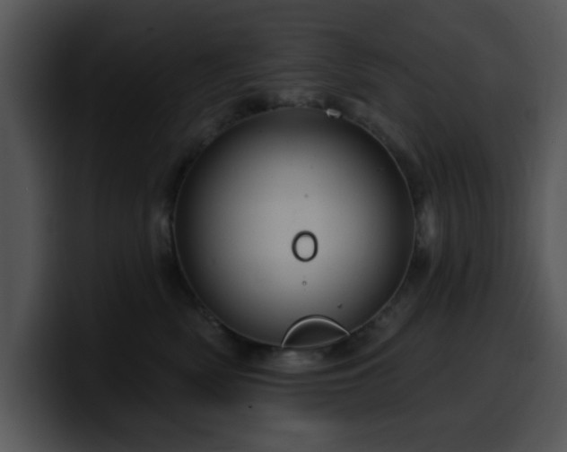 X0000100390522200806061257