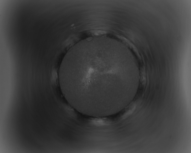 X0000100390523200806061257