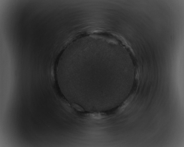 X0000100390524200806061257