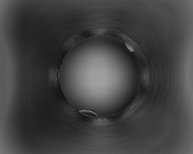 X0000100390525200806061257