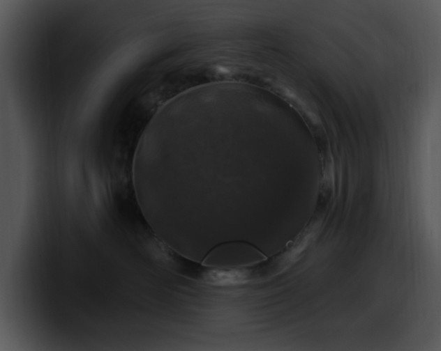 X0000100390526200806061257