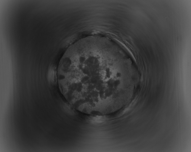 X0000100390527200806061257