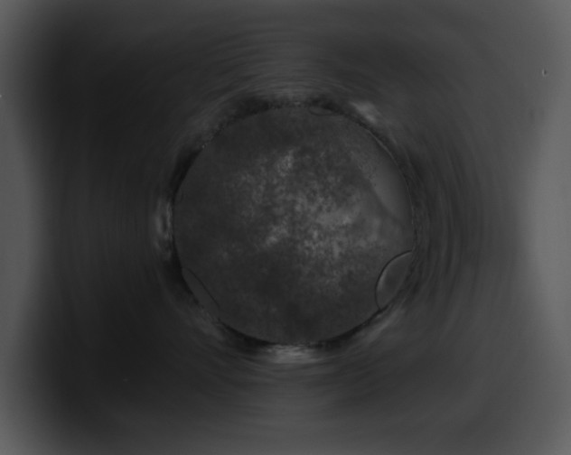 X0000100390528200806061257