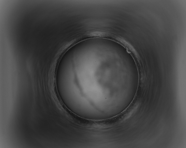 X0000100390529200806061256