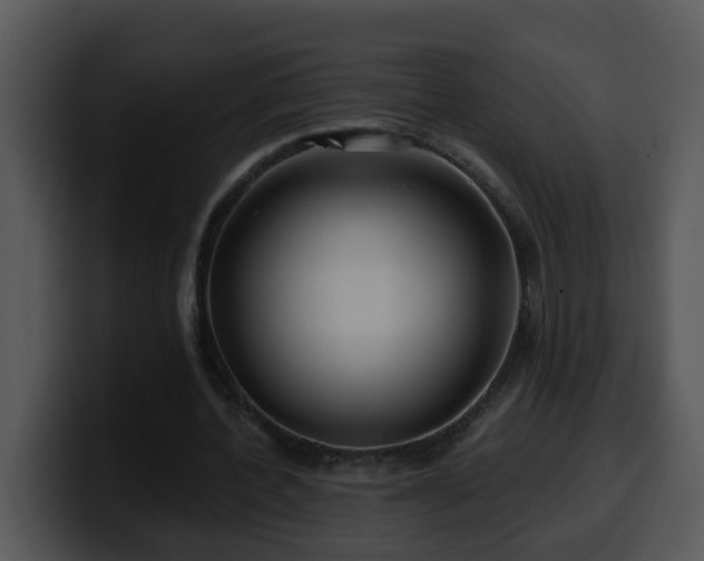 X0000100390532200806061256