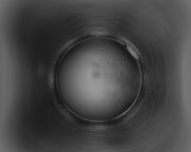 X0000100390533200806061256