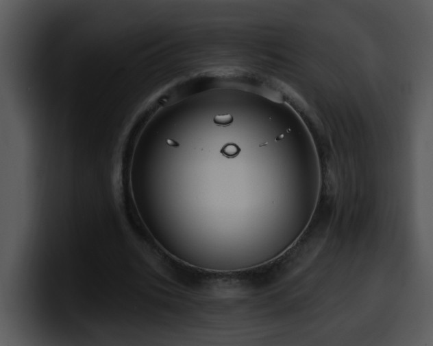 X0000100390535200806061256