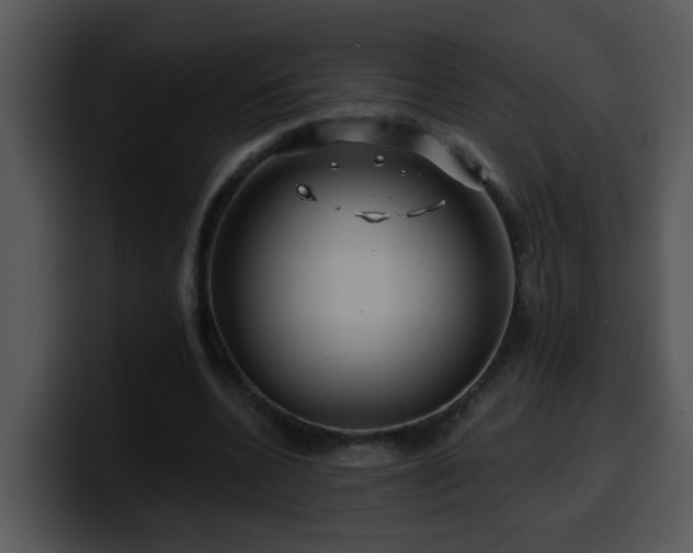 X0000100390536200806061256