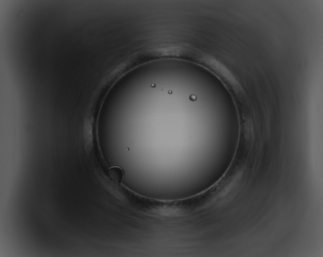 X0000100390537200806061256