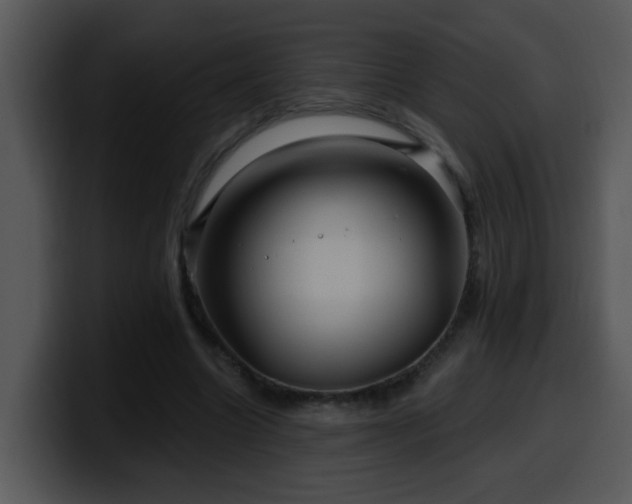 X0000100390538200806061256