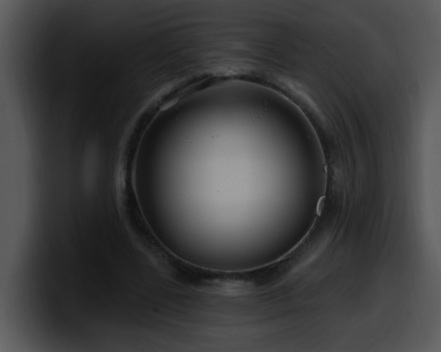 X0000100390539200806061256