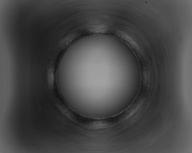 X0000100390541200806061256