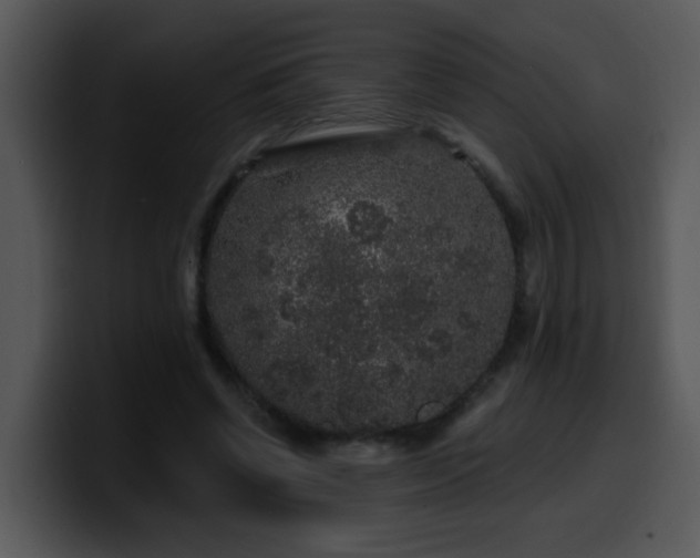 X0000100390542200806061256