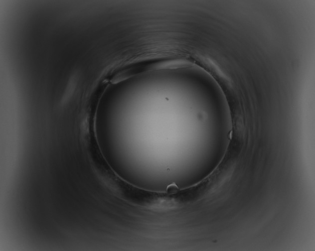 X0000100390543200806061256