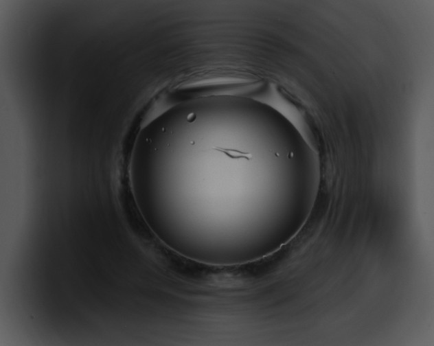 X0000100390544200806061256