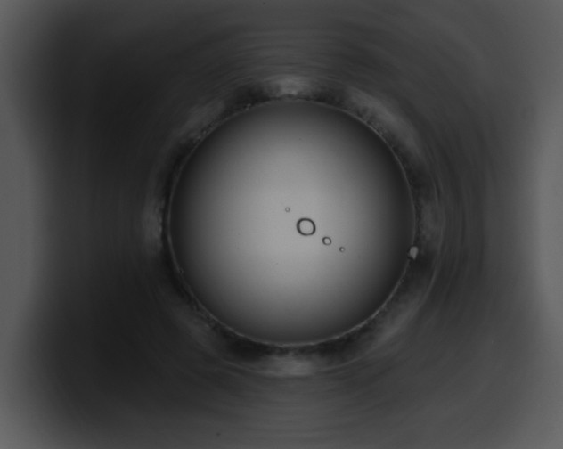 X0000100390545200806061256