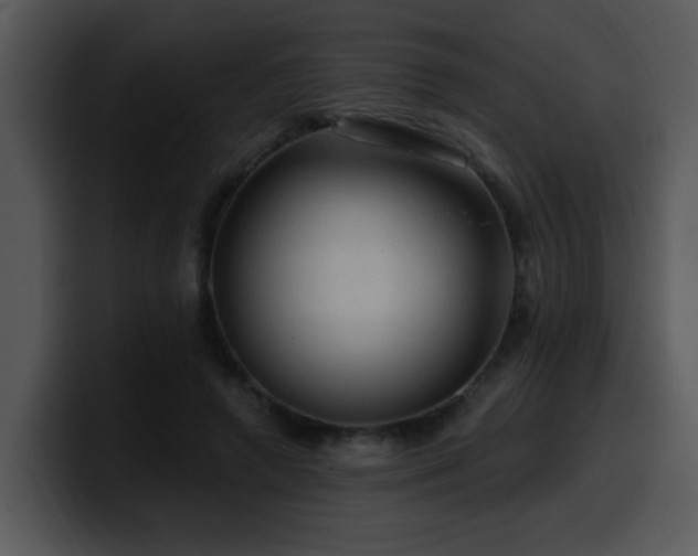 X0000100390546200806061256