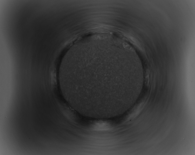 X0000100390547200806061256