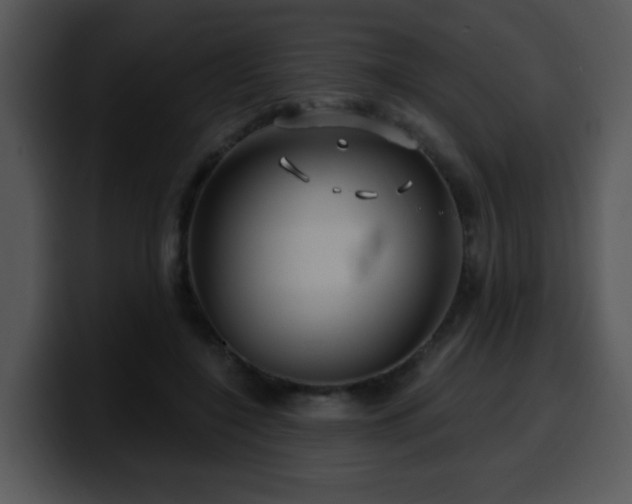 X0000100390548200806061256