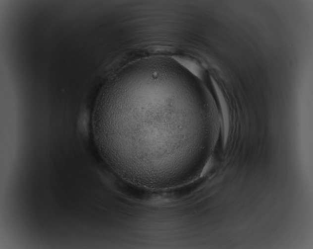 X0000100390550200806061256