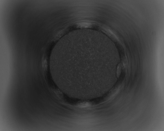 X0000100390551200806061256