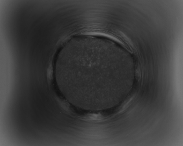 X0000100390552200806061256