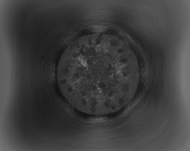X0000100390553200806061256