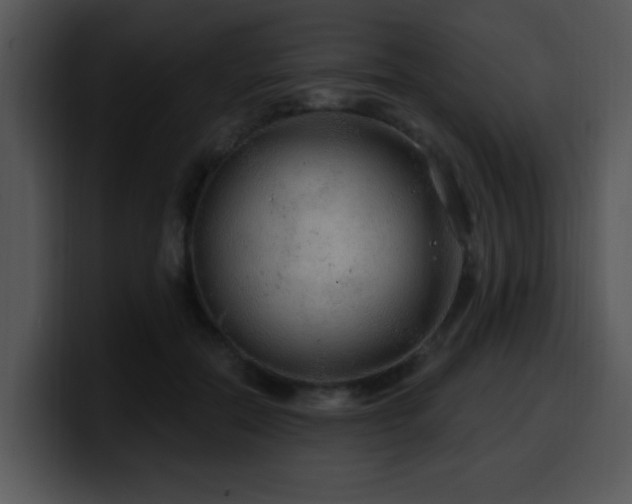 X0000100390554200806061256