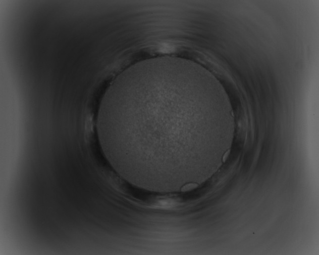X0000100390555200806061256
