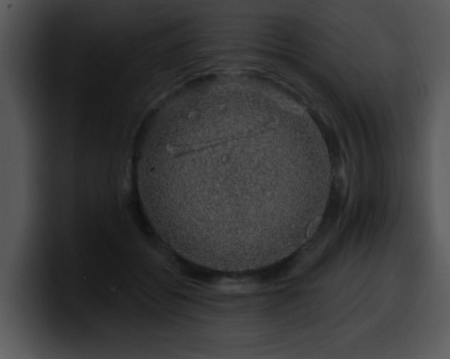 X0000100390556200806061256