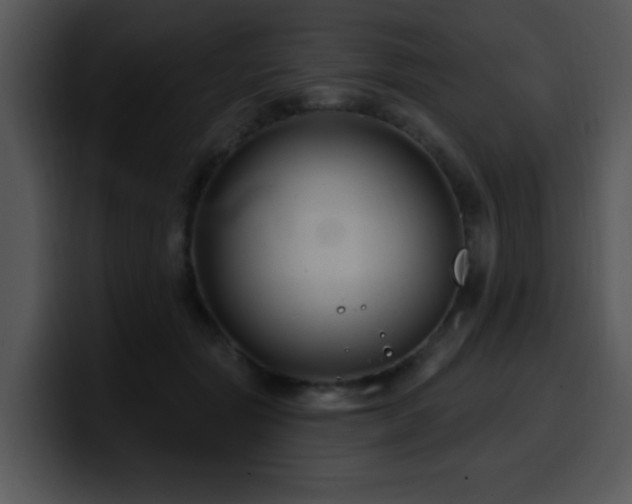 X0000100390557200806061256