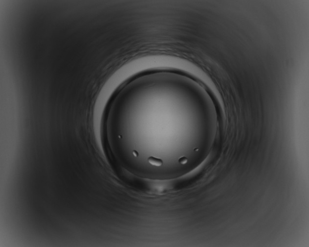 X0000100390558200806061256
