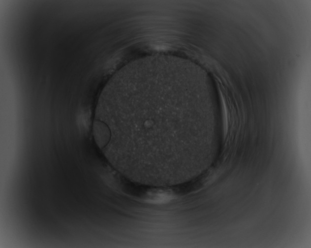 X0000100390559200806061256