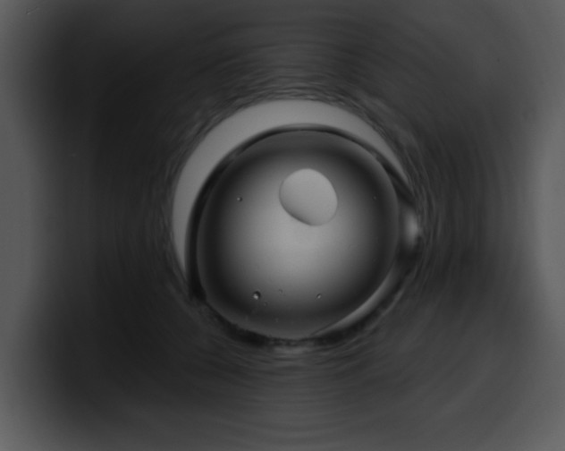 X0000100390560200806061256