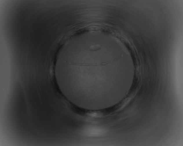X0000100390561200806061256