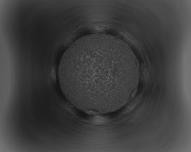 X0000100390562200806061256