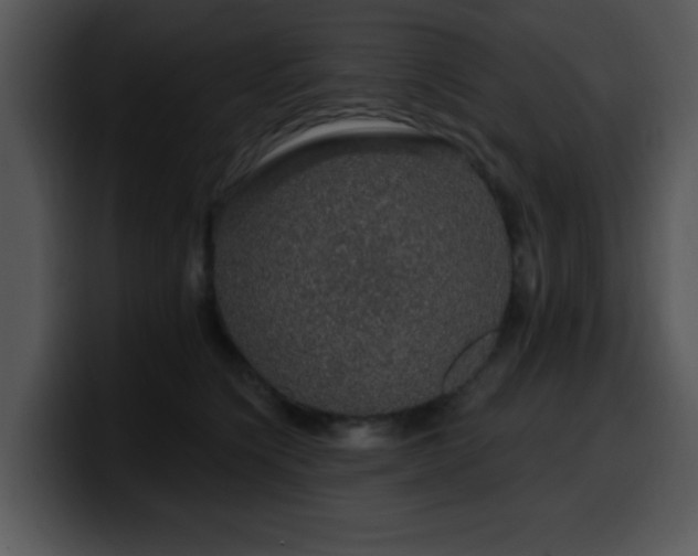 X0000100390564200806061257
