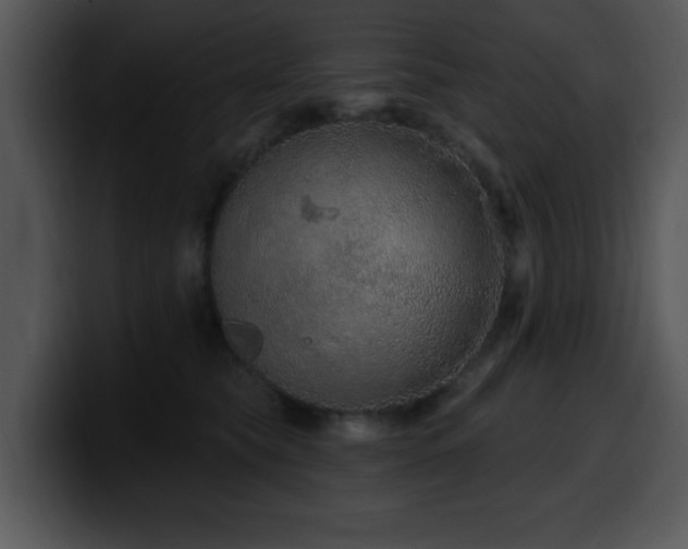 X0000100390565200806061257