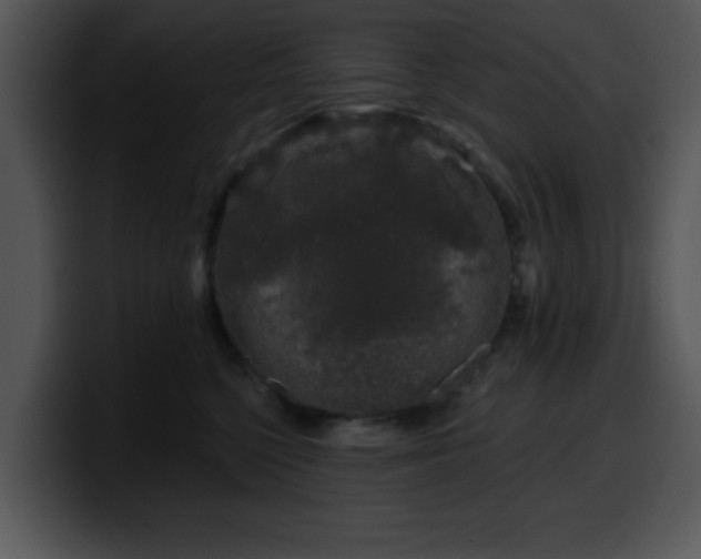 X0000100390568200806061257