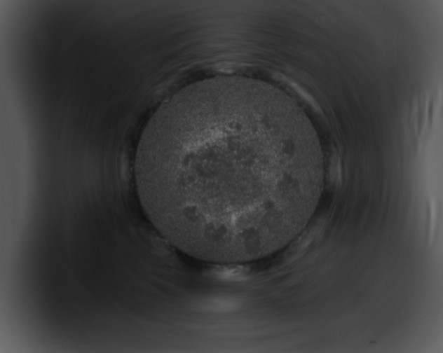 X0000100390569200806061257