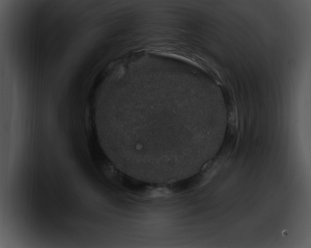 X0000100390572200806061257