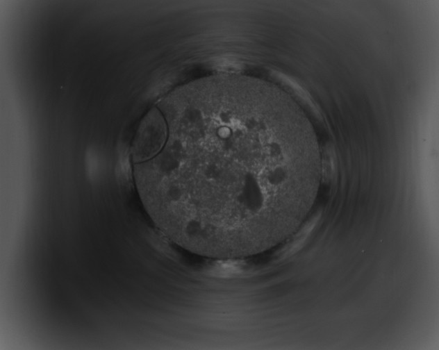 X0000100390573200806061257