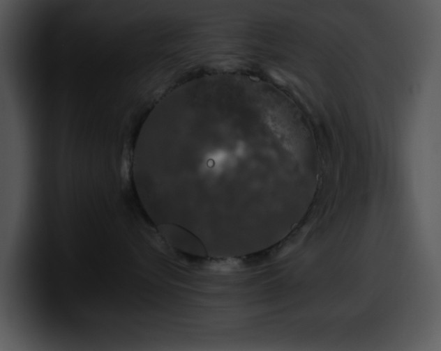 X0000100390576200806061257