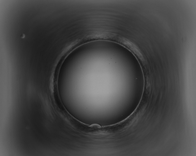 X0000100390578200806061256