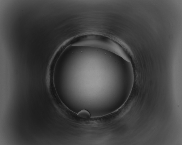X0000100390580200806061256
