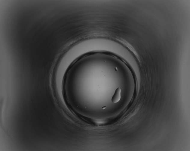 X0000100390581200806061256