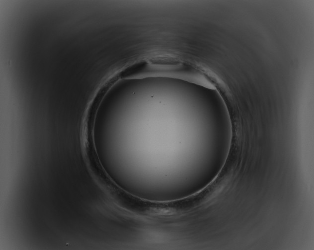 X0000100390582200806061256