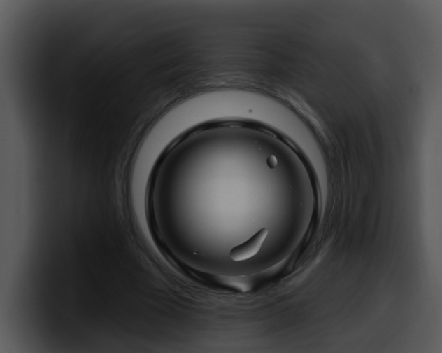 X0000100390585200806061256