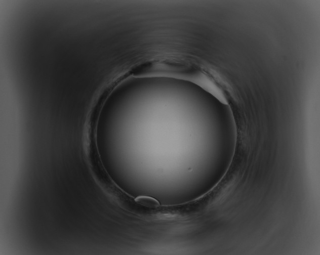 X0000100390586200806061256
