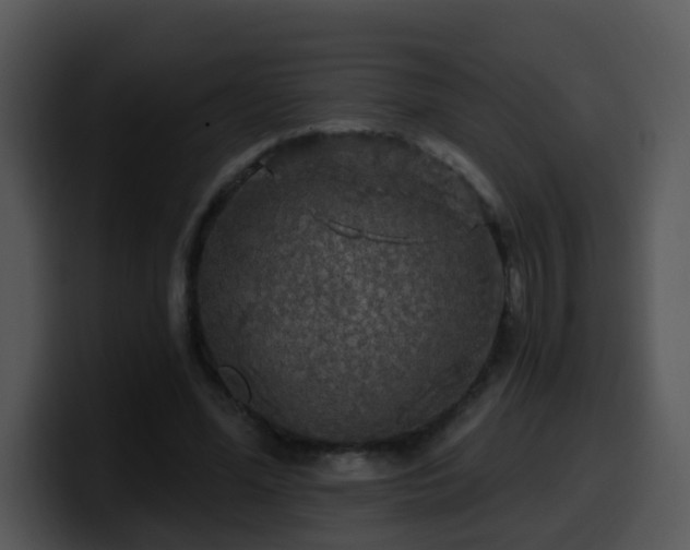 X0000100390588200806061256